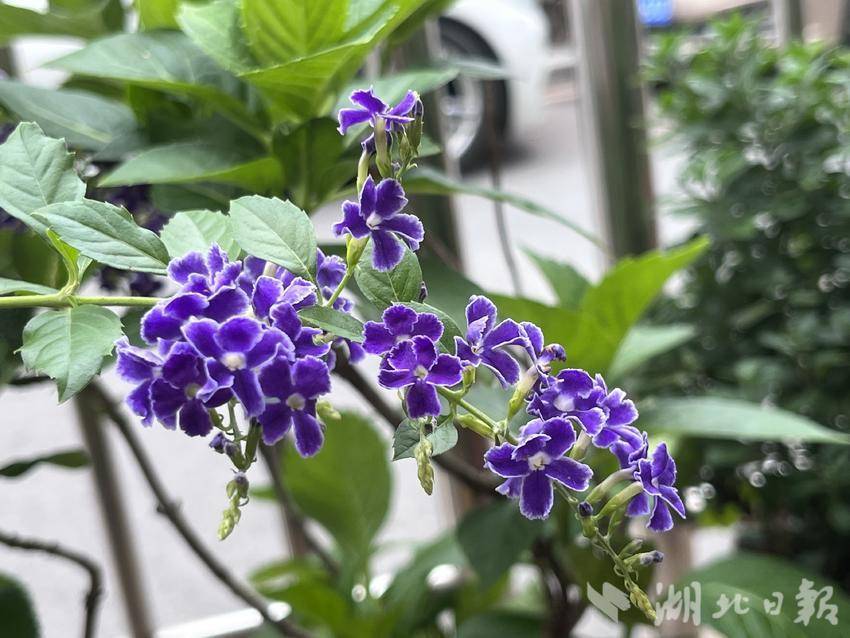 威尼斯888官网入口